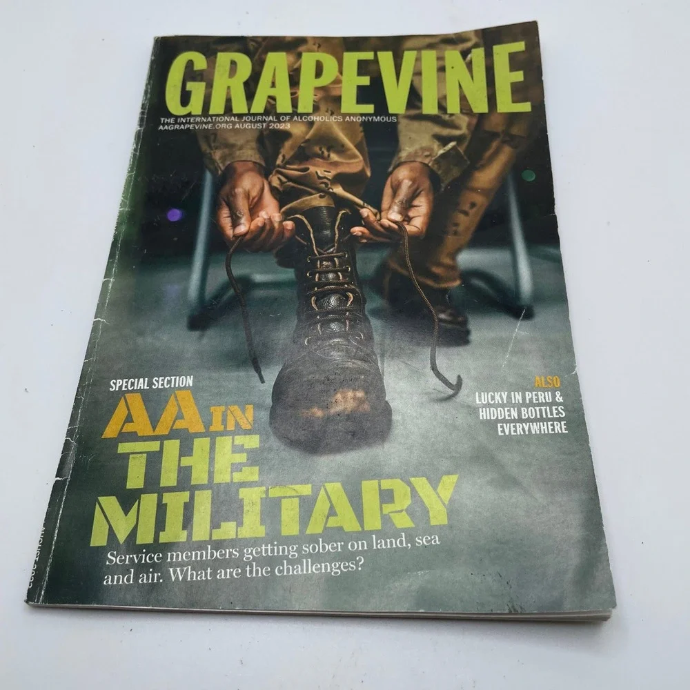 AA Grapevine Alcoholics Anonymous‎ Journal Magazine Lot Military & NA Pamphlet